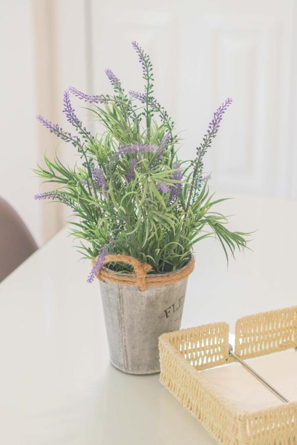 Pasithea Apts Apartment Almyrida (Crete)